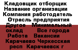 Кладовщик-отборщик › Название организации ­ Компания-работодатель › Отрасль предприятия ­ Другое › Минимальный оклад ­ 1 - Все города Работа » Вакансии   . Карачаево-Черкесская респ.,Карачаевск г.